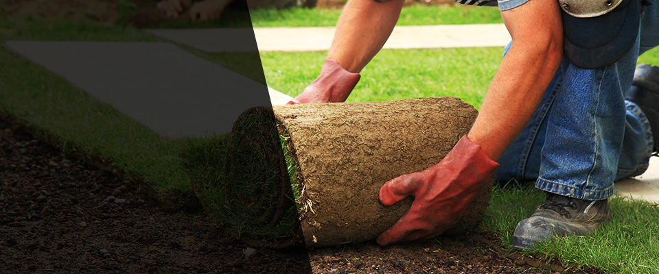 Eden Landscapers